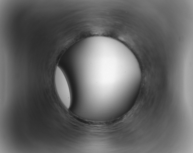 X0000088890066200706080815