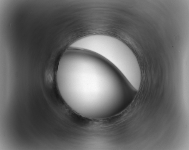 X0000088890072200706080815