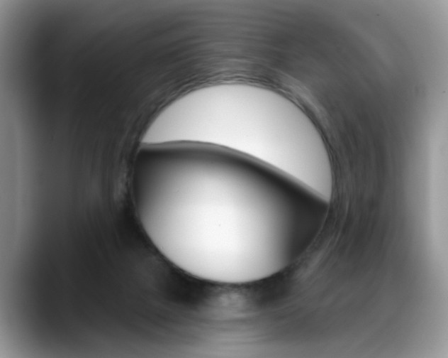 X0000088890073200706080815