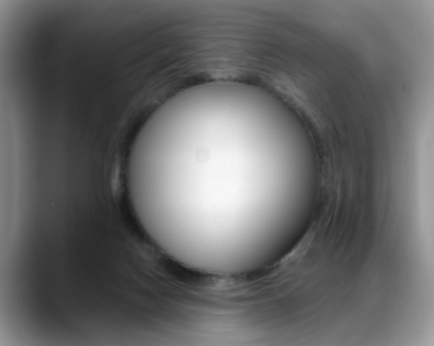 X0000088890074200706080815