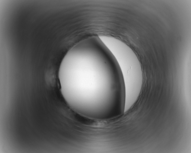 X0000088890080200706080815
