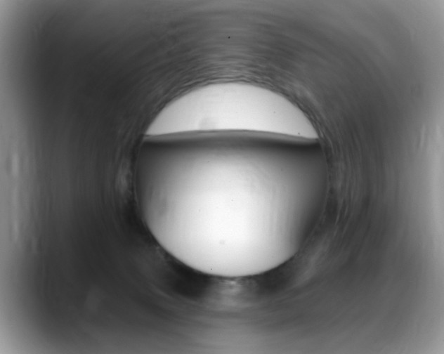 X0000088890083200706080815
