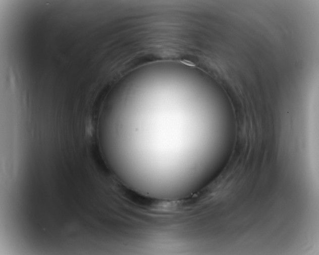 X0000088890084200706080815