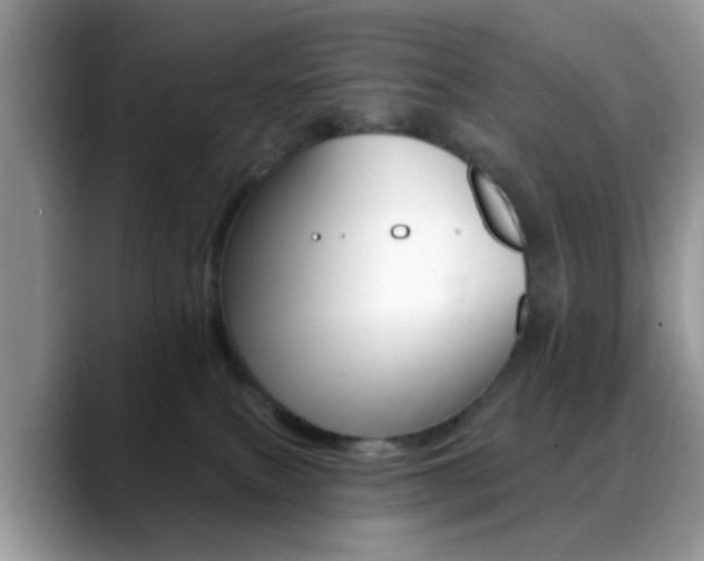 X0000088890087200706080815