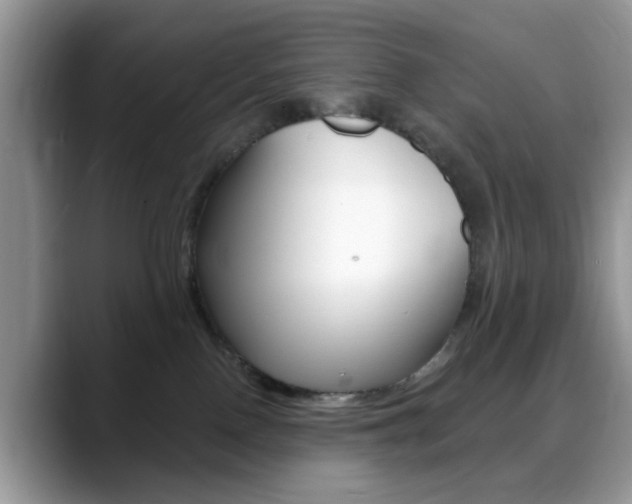 X0000088890090200706080815