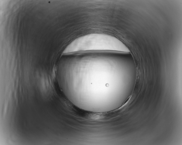 X0000088890094200706080815