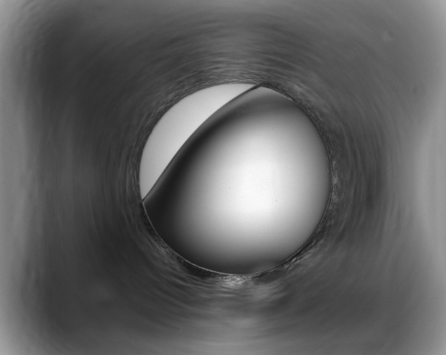 X0000088890096200706080815