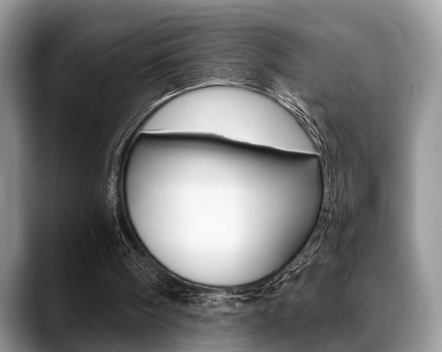 X0000088890098200706080814