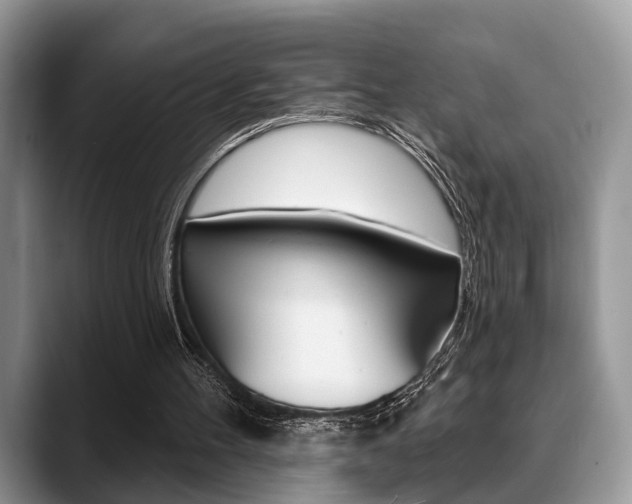 X0000088890100200706080814