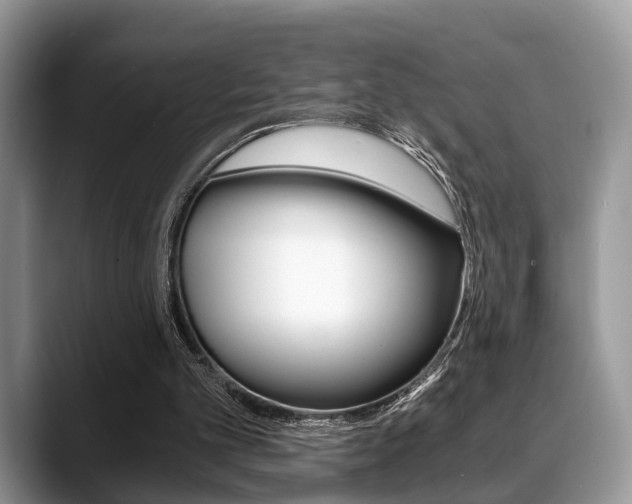 X0000088890101200706080814