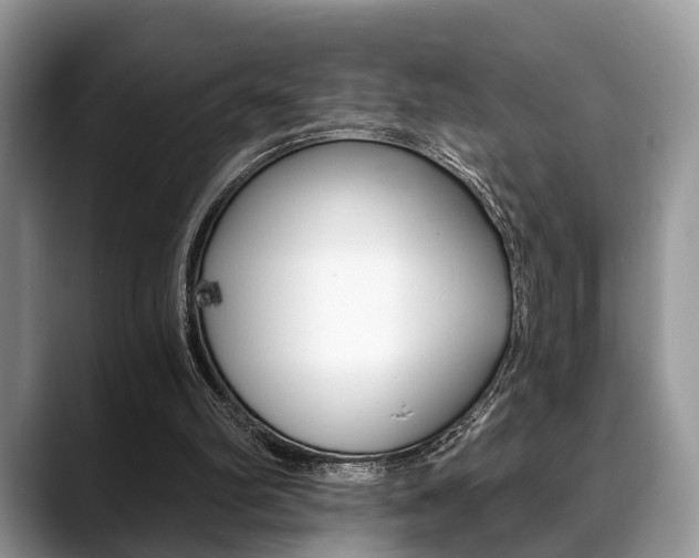 X0000088890102200706080814