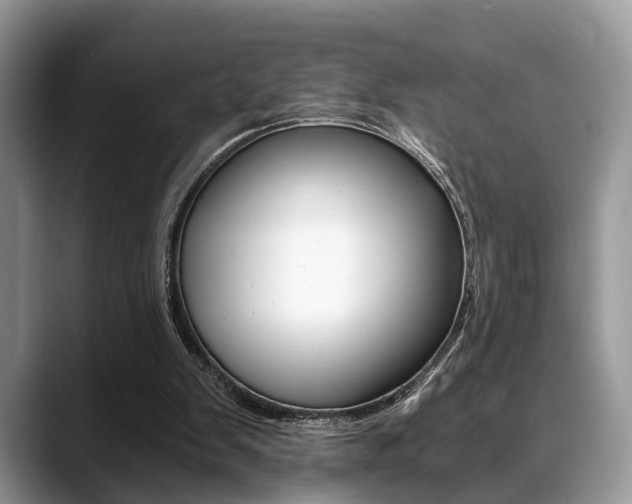 X0000088890103200706080814