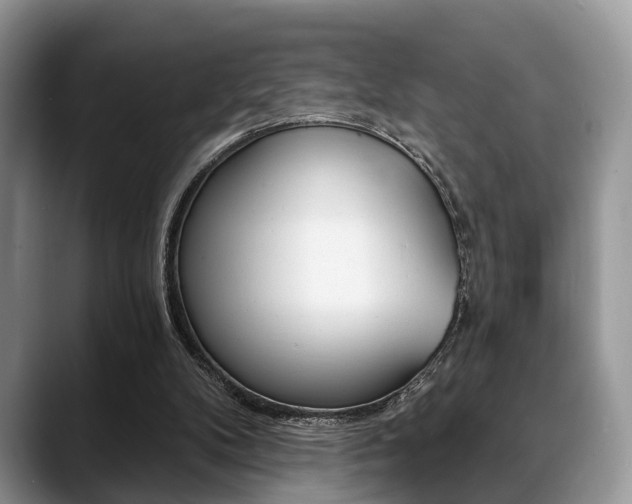 X0000088890104200706080814
