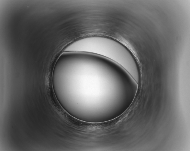 X0000088890105200706080814