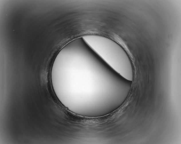 X0000088890106200706080814