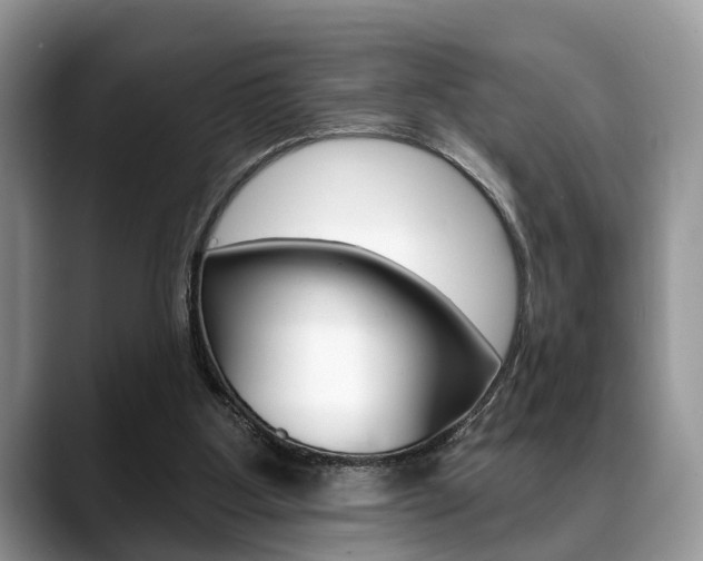 X0000088890107200706080814