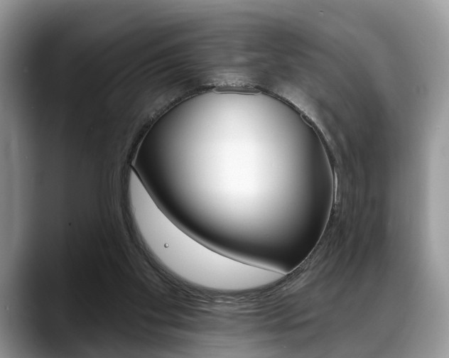 X0000088890109200706080814