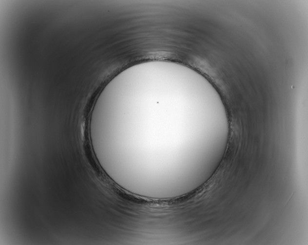X0000088890110200706080814