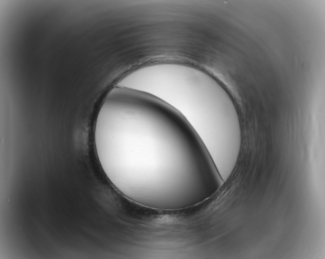X0000088890111200706080814