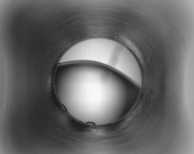 X0000088890113200706080814