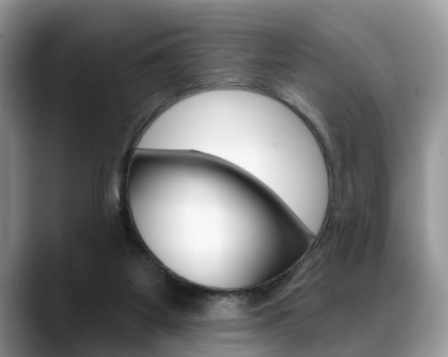 X0000088890115200706080814