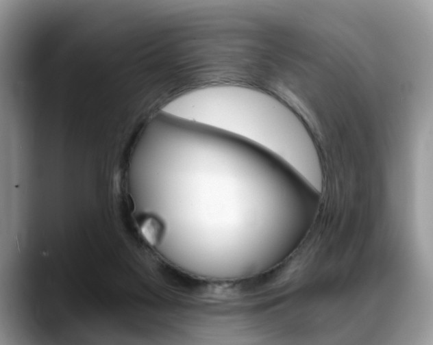 X0000088890117200706080814