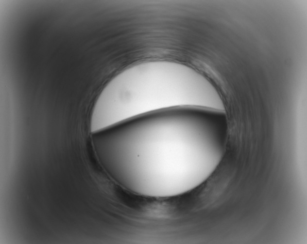 X0000088890119200706080814