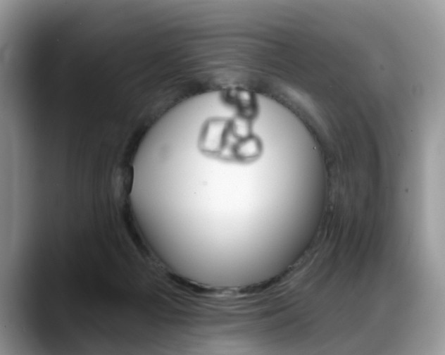 X0000088890121200706080814