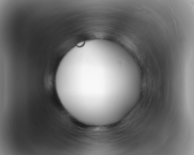 X0000088890122200706080814