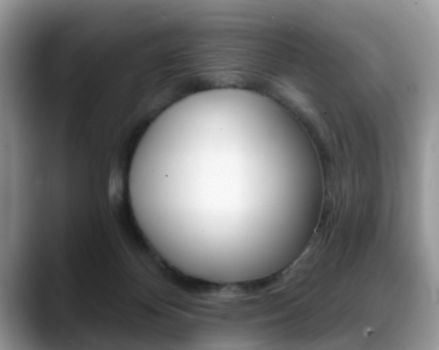 X0000088890124200706080814