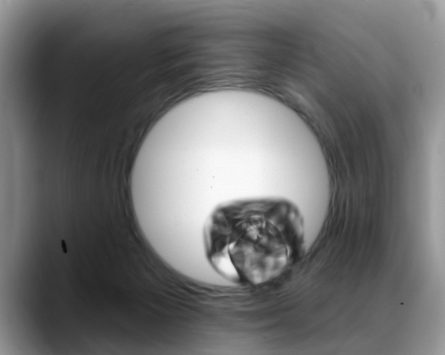 X0000088890125200706080814