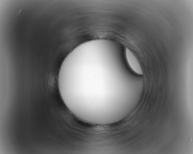 X0000088890126200706080814