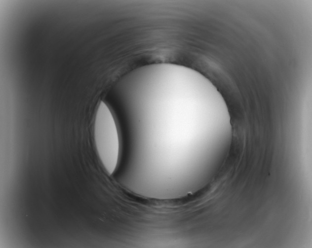 X0000088890127200706080814