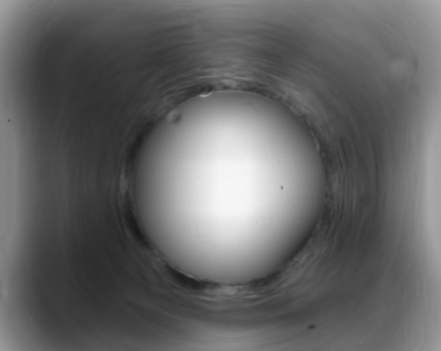 X0000088890129200706080814