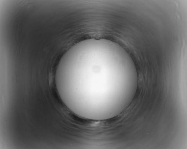 X0000088890130200706080814