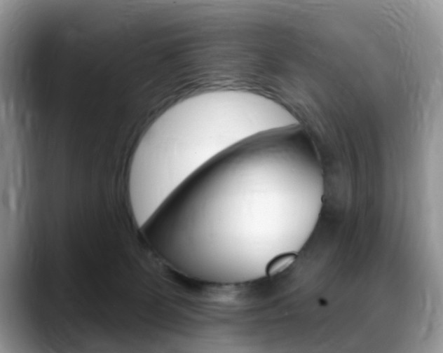 X0000088890131200706080814