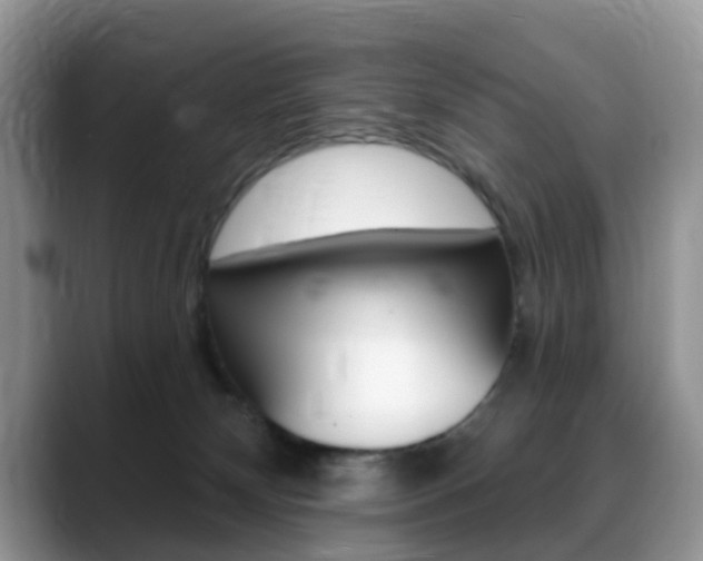 X0000088890132200706080814