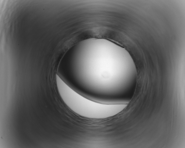 X0000088890137200706080814
