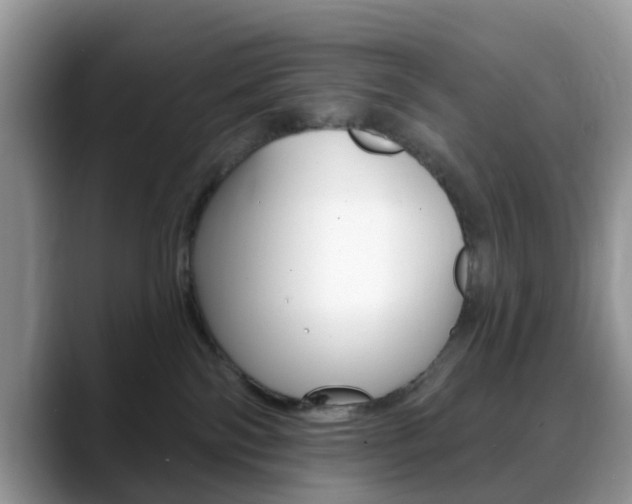 X0000088890138200706080814