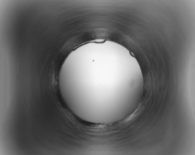 X0000088890140200706080814