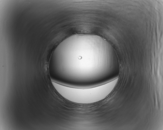 X0000088890141200706080814
