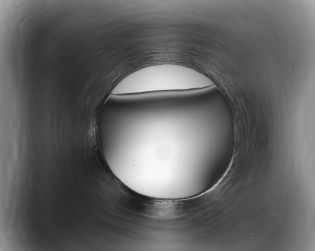 X0000088890144200706080814