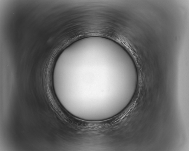 X0000088890145200706080813