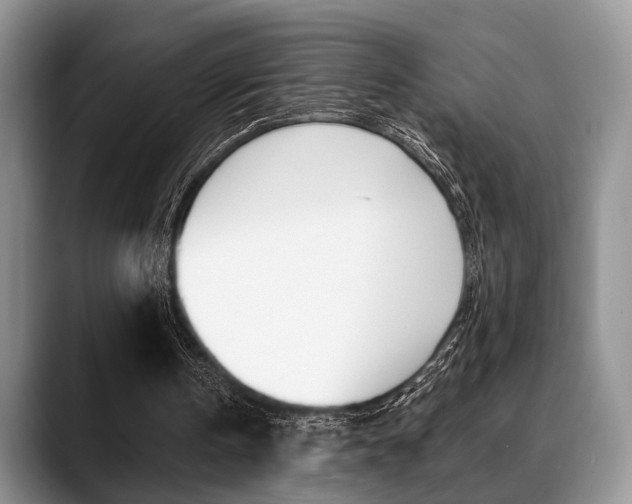X0000088890146200706080813