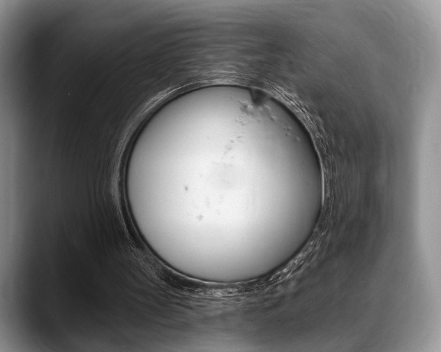 X0000088890147200706080813