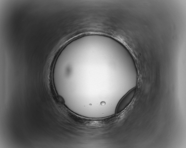 X0000088890151200706080813