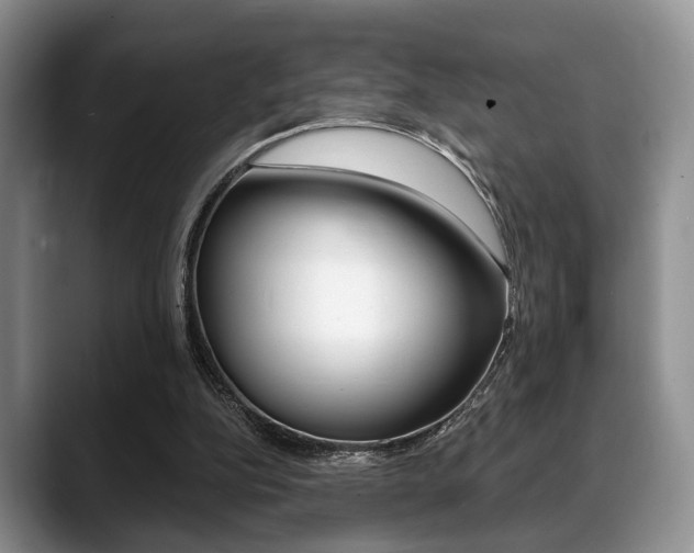 X0000088890152200706080813