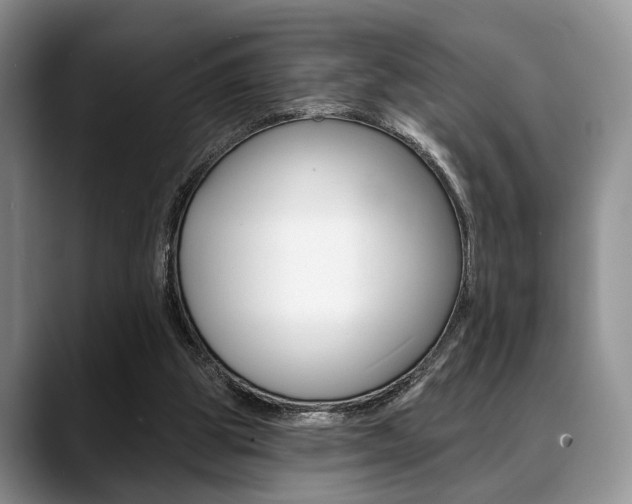 X0000088890153200706080813