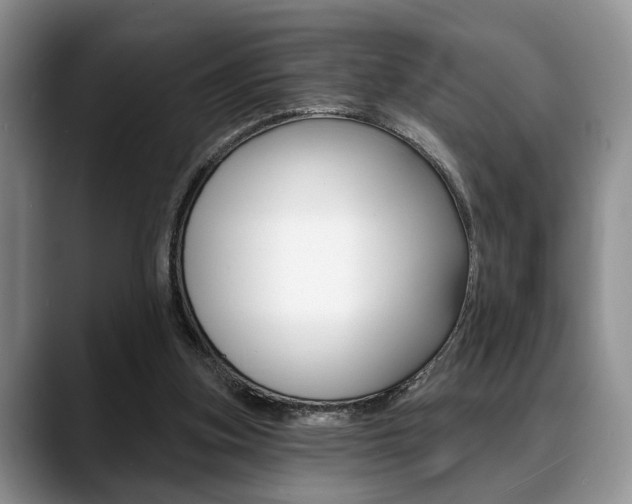 X0000088890155200706080813