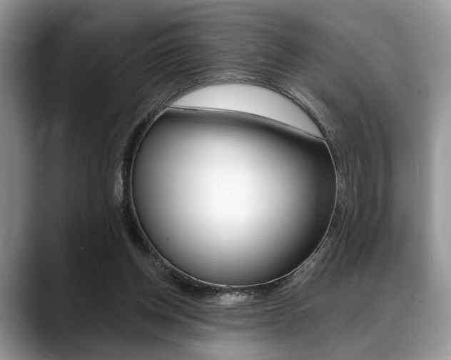 X0000088890158200706080813